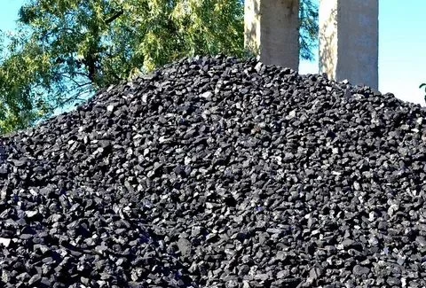 Уголь семечка фракция 0–6 мм